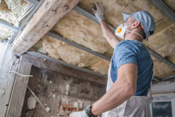 Best Fiberglass Insulation in Chelsea Cove, NY
